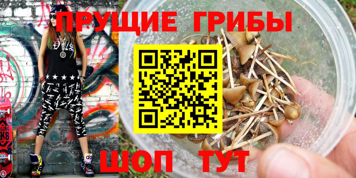 Чайковский  Псилоцибиновые грибы мицелий  Вход с VPN 